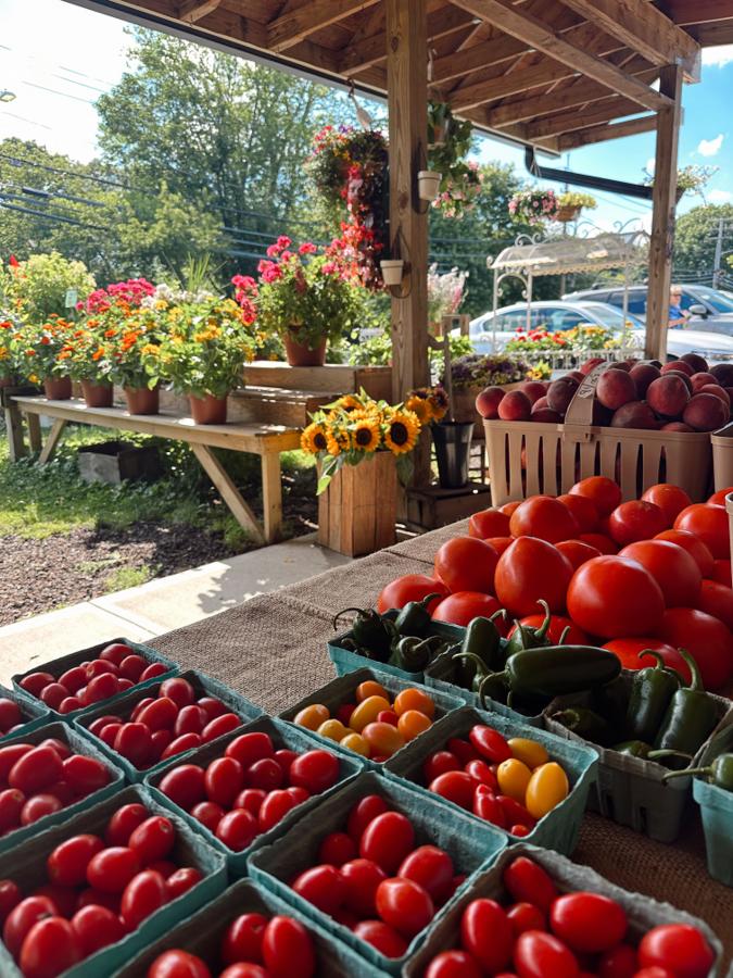 A Connecticut farm stand with crates of tomatoes and peppers and potted flowers behind